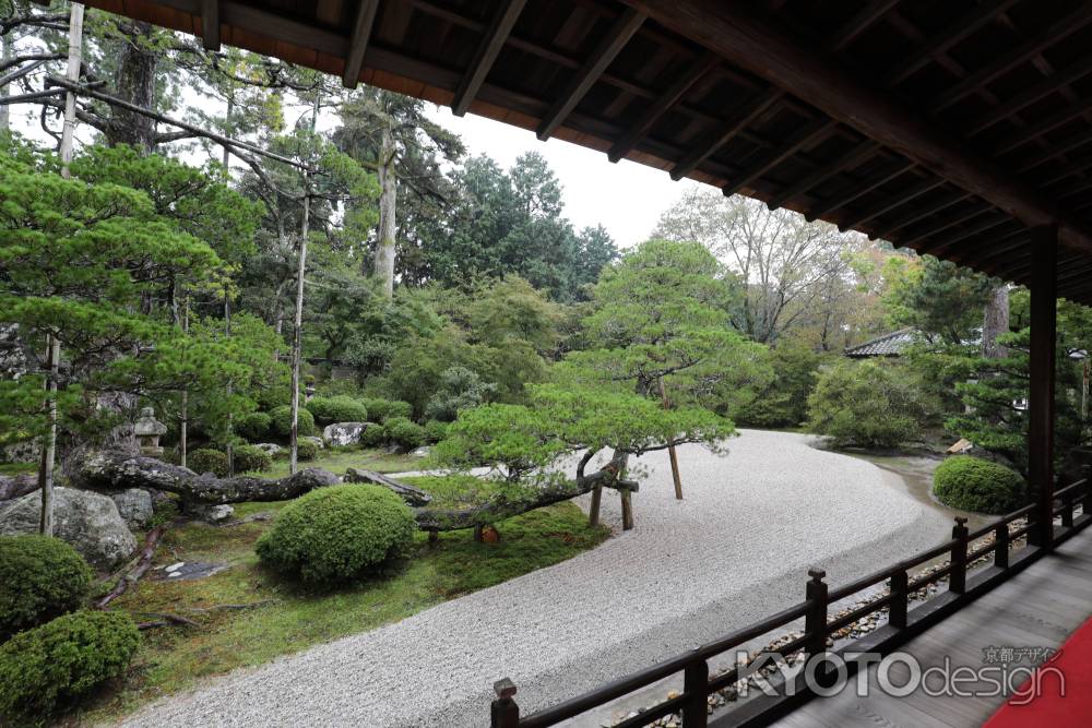 曼殊院 枯山水庭園6