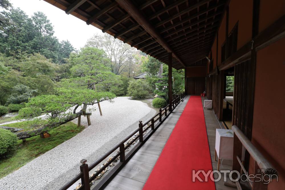 曼殊院 枯山水庭園 7