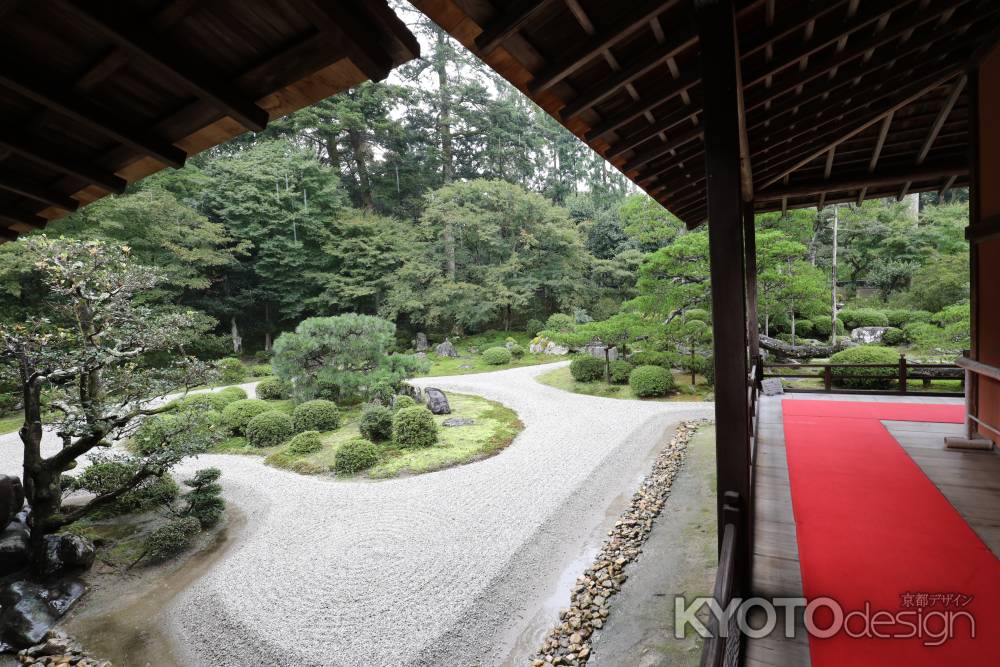 曼殊院 枯山水庭園9