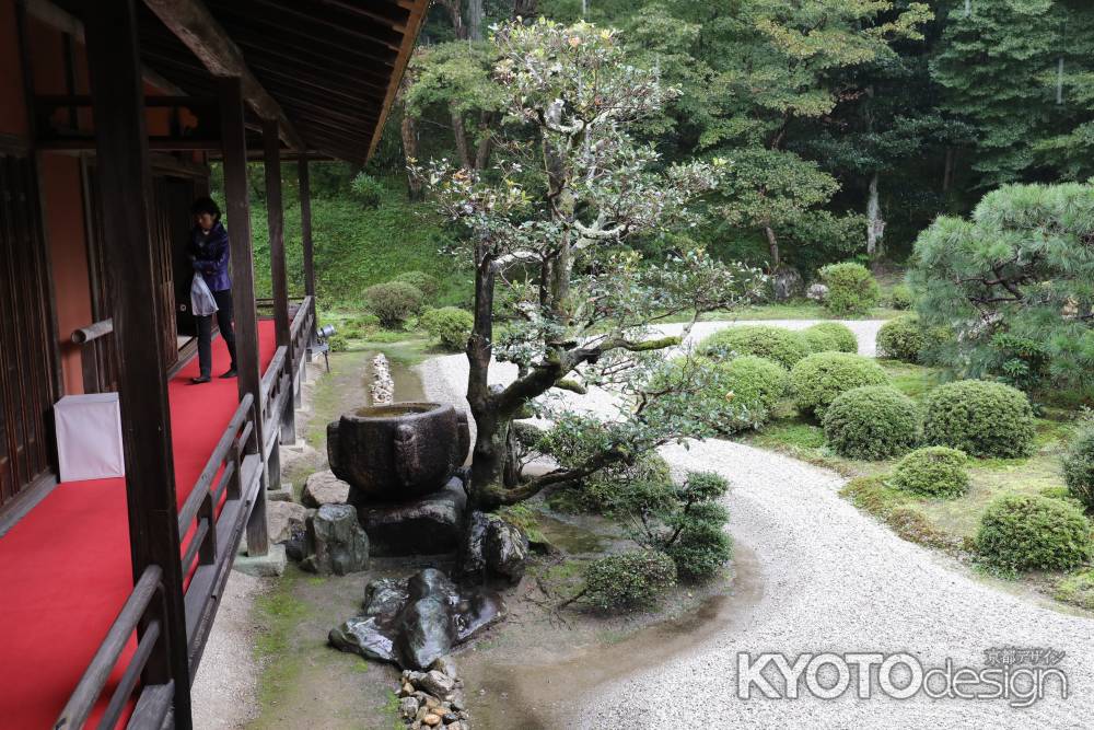 曼殊院 枯山水庭園14