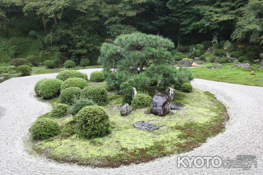 曼殊院 枯山水庭園22