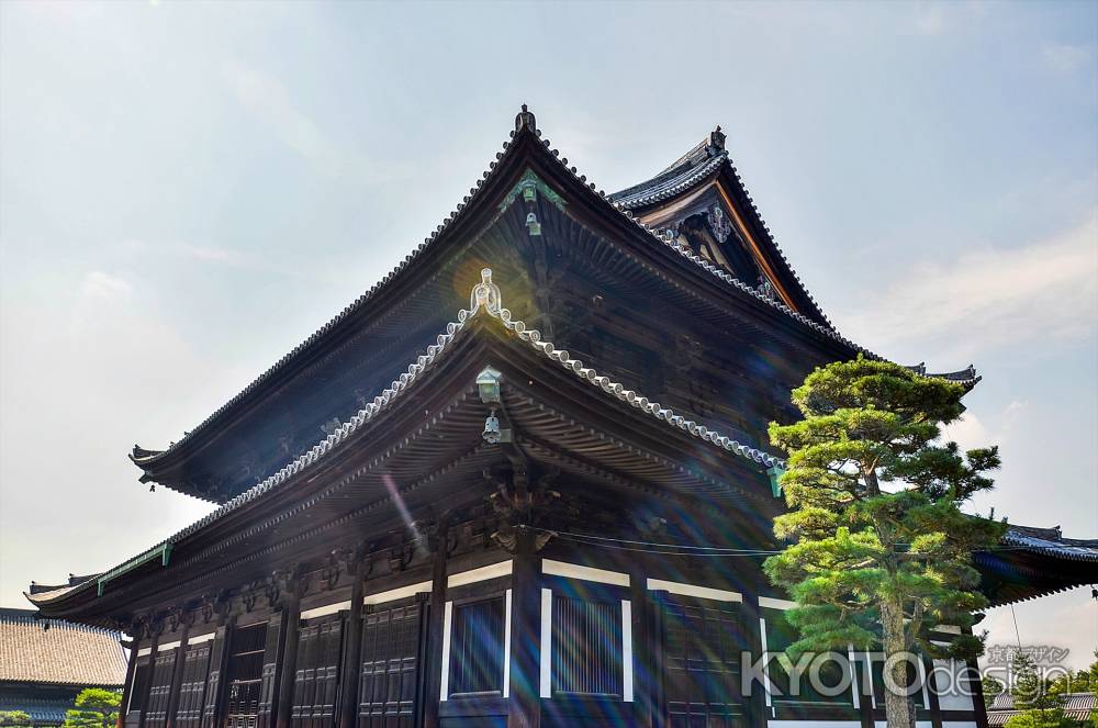 東福寺の本堂を見上げる