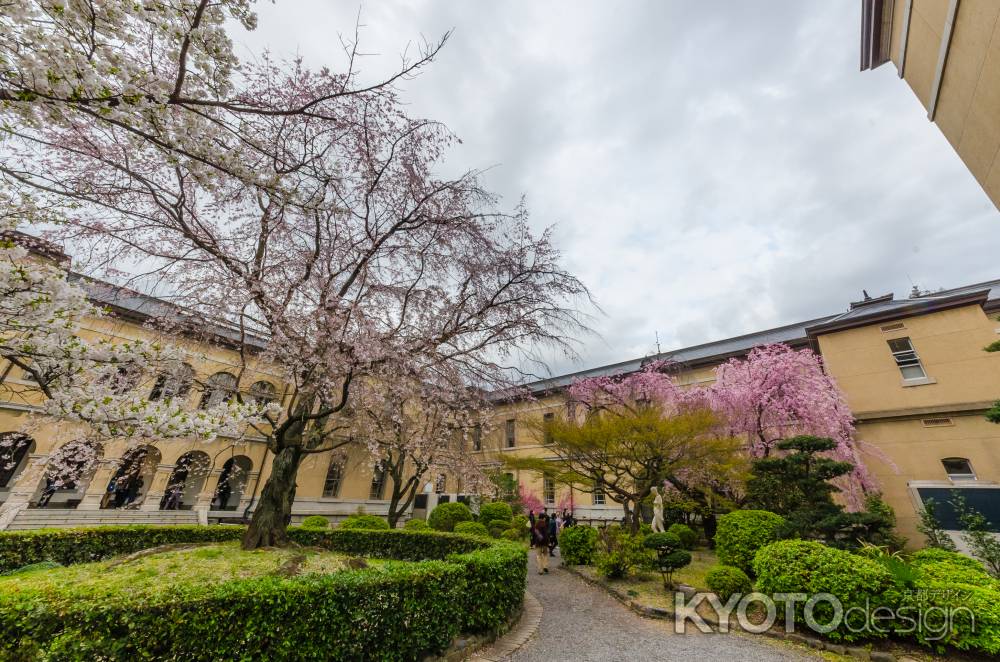 京都府庁旧本館の中庭を見渡す