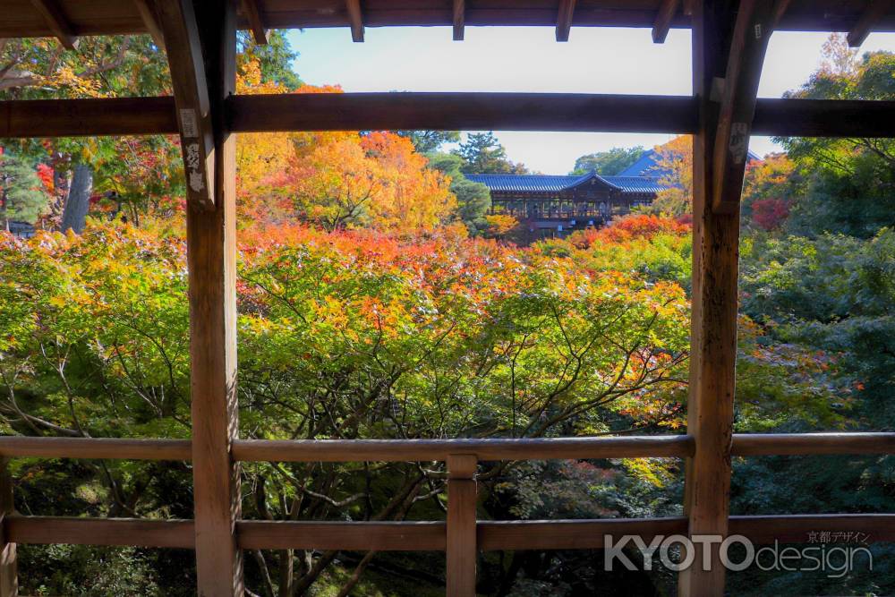 東福寺　名橋と紅葉