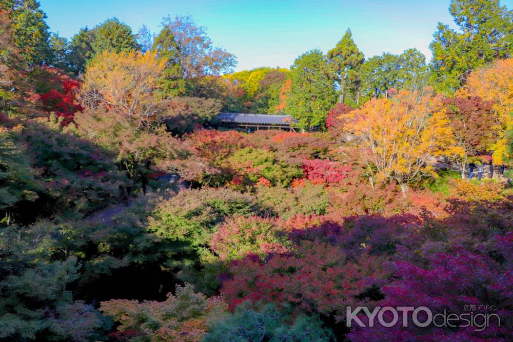 東福寺　彩り豊か