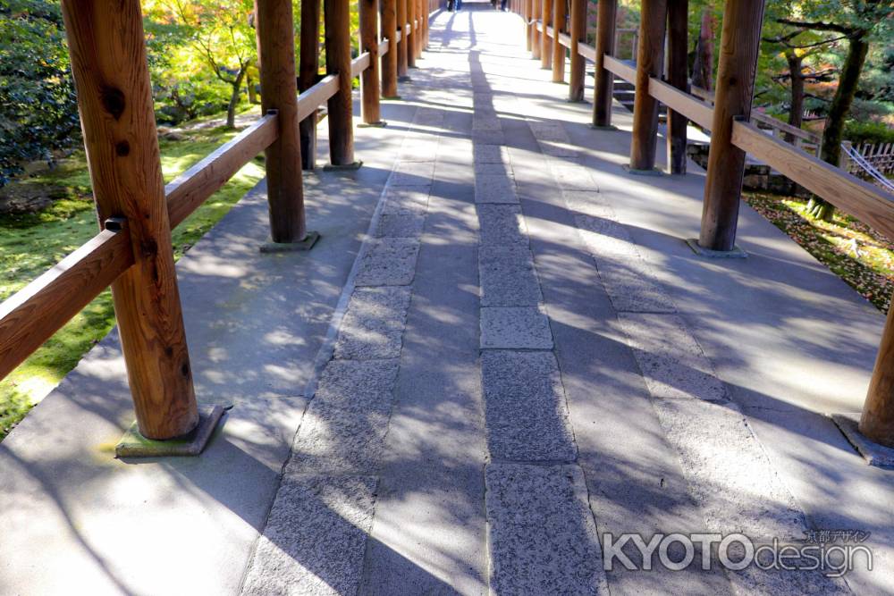 東福寺　秋の足元