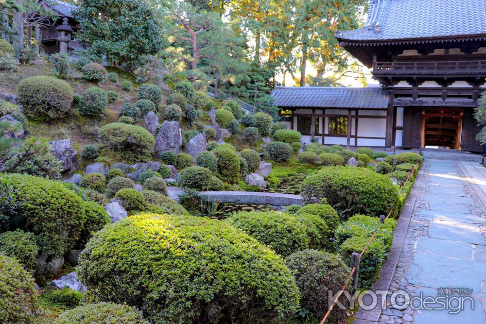 東福寺　庭園散歩