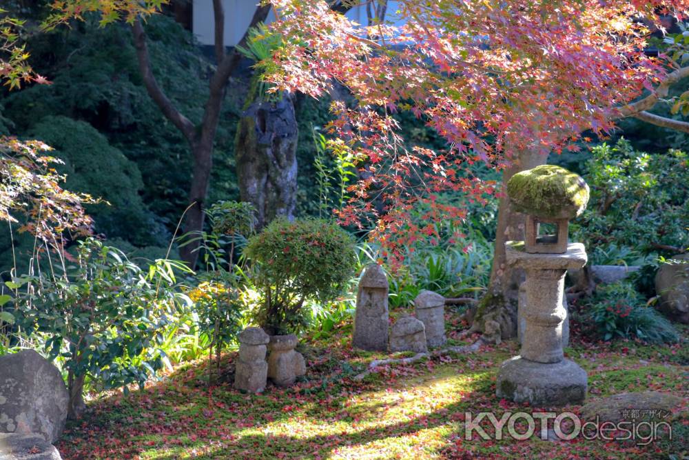 東福寺　秋のひととき