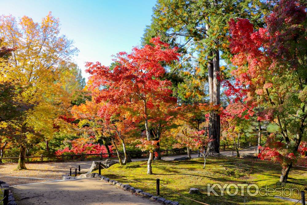 東福寺　錦秋の庭