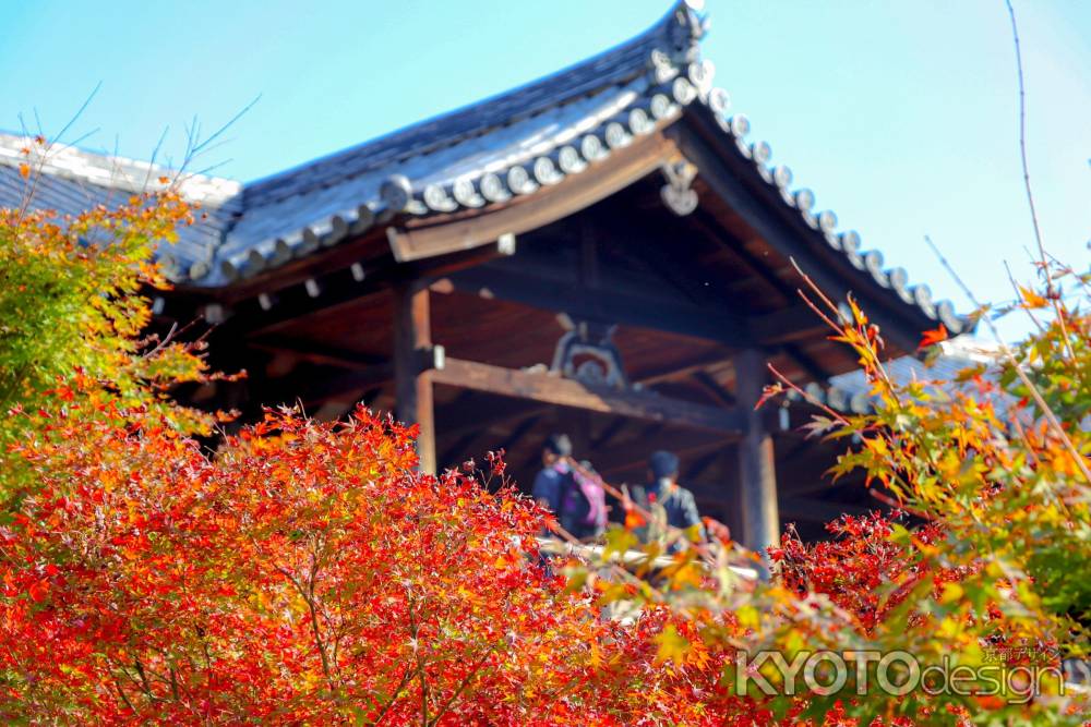 東福寺　橋を望む