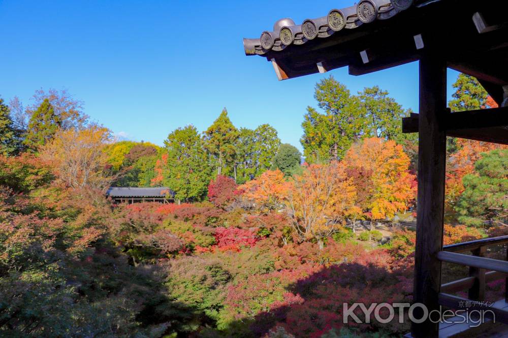 東福寺　広がる錦秋