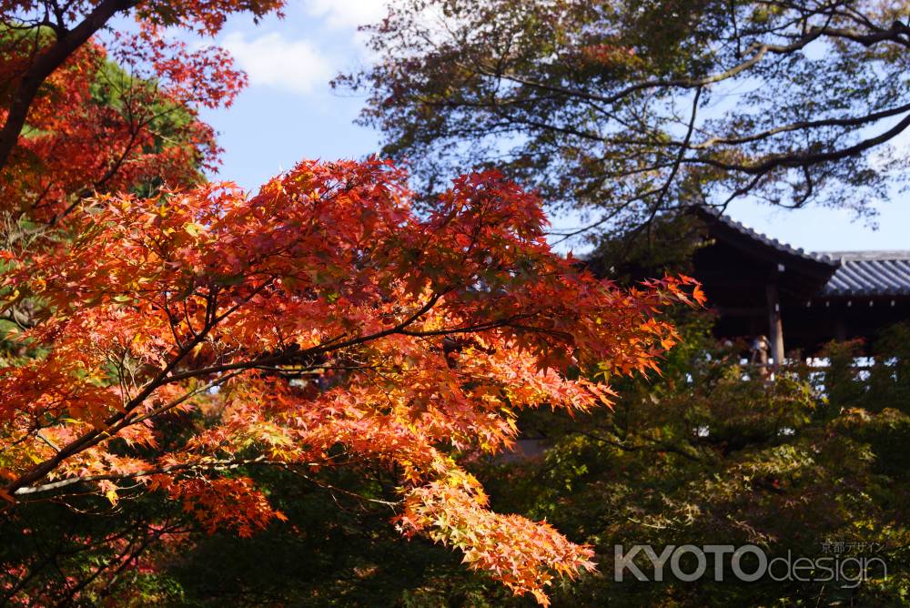 東福寺　201411-2