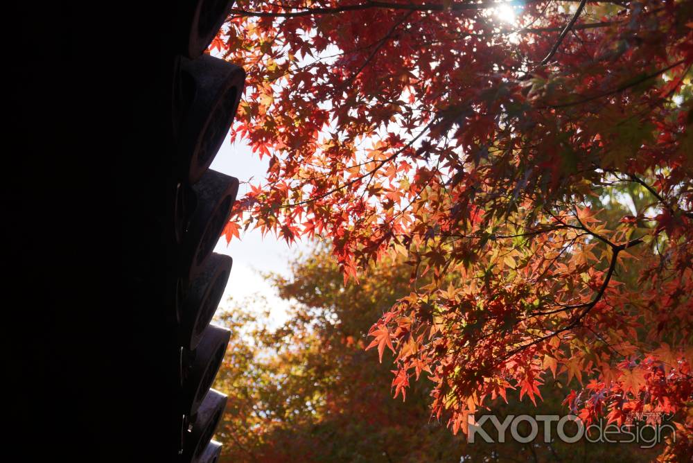 東福寺　201411-3