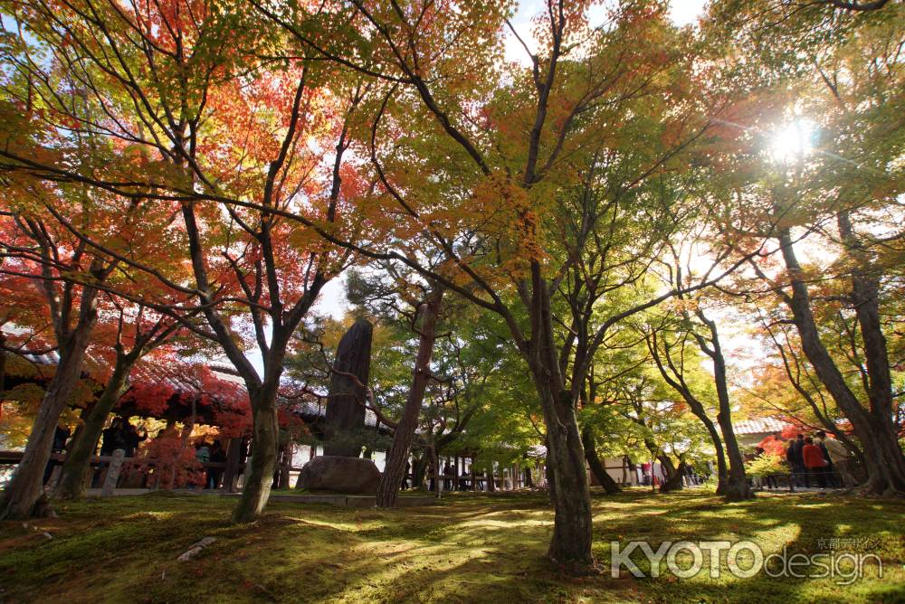 東福寺　201411-4