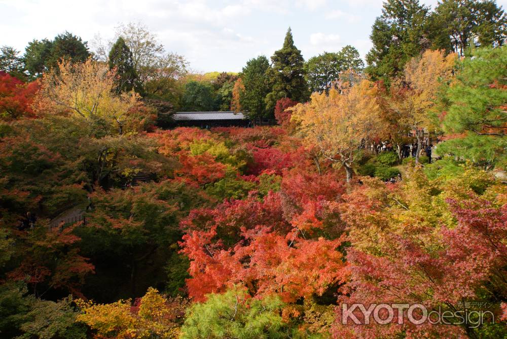 東福寺　201411-5