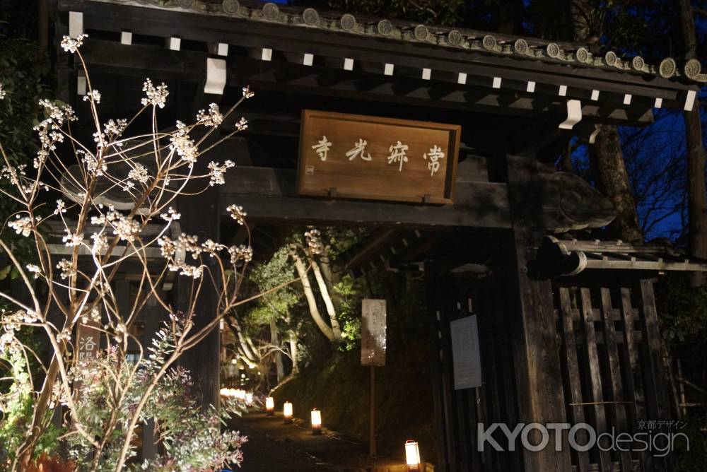 常寂光寺　201412-1