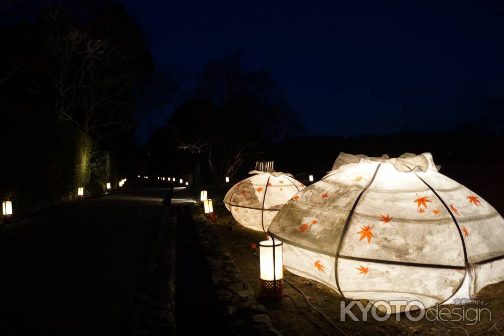 嵐山花灯路　201412-2