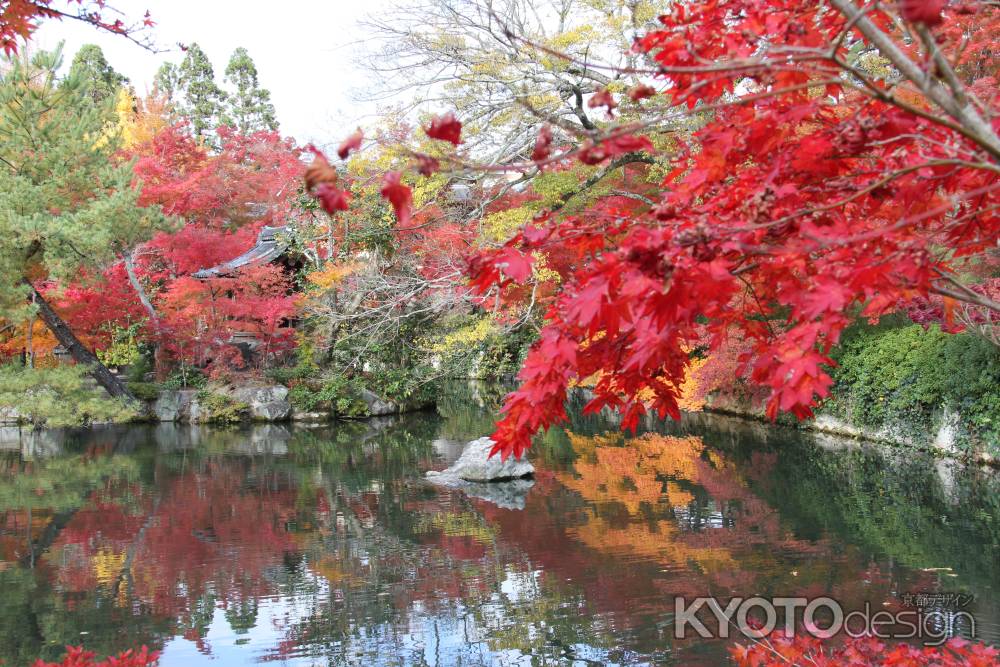 紅葉の永観堂　⑬
