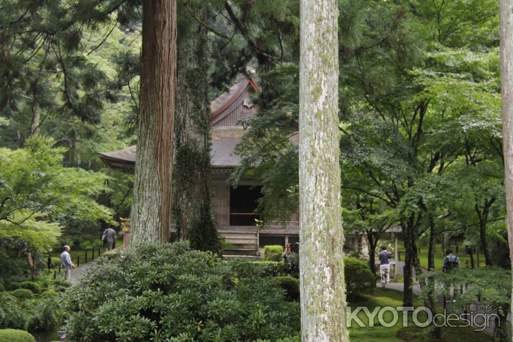 秋の大原　三千院①