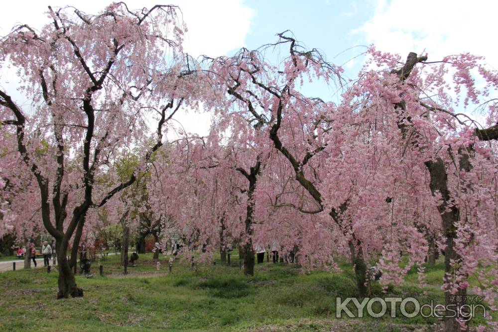 京都府立植物園　④