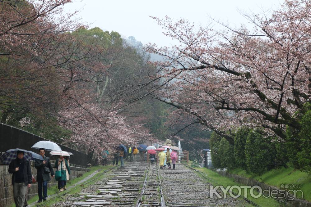 蹴上インクライン　②