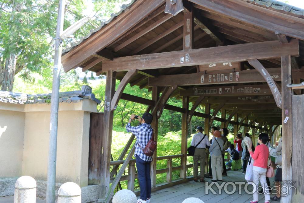 新緑の東福寺　①