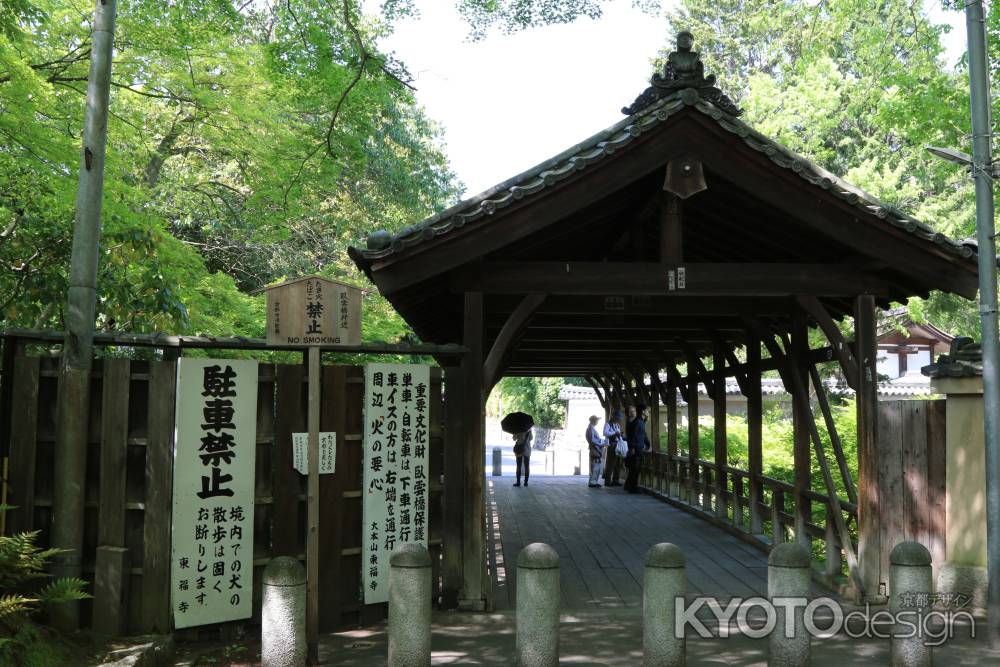新緑の東福寺　⑧