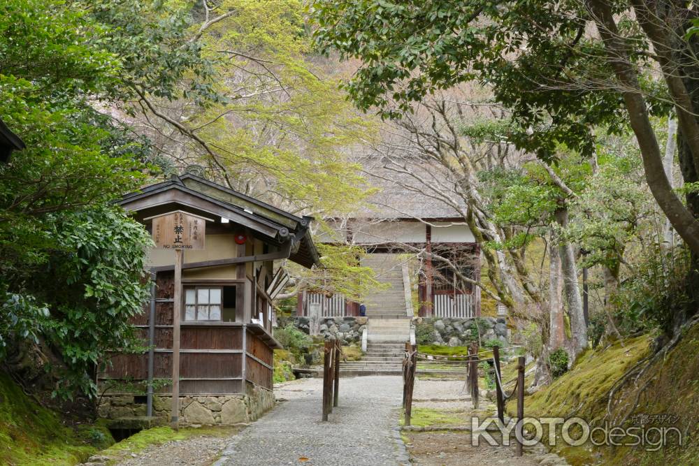 嵯峨野・常寂光寺