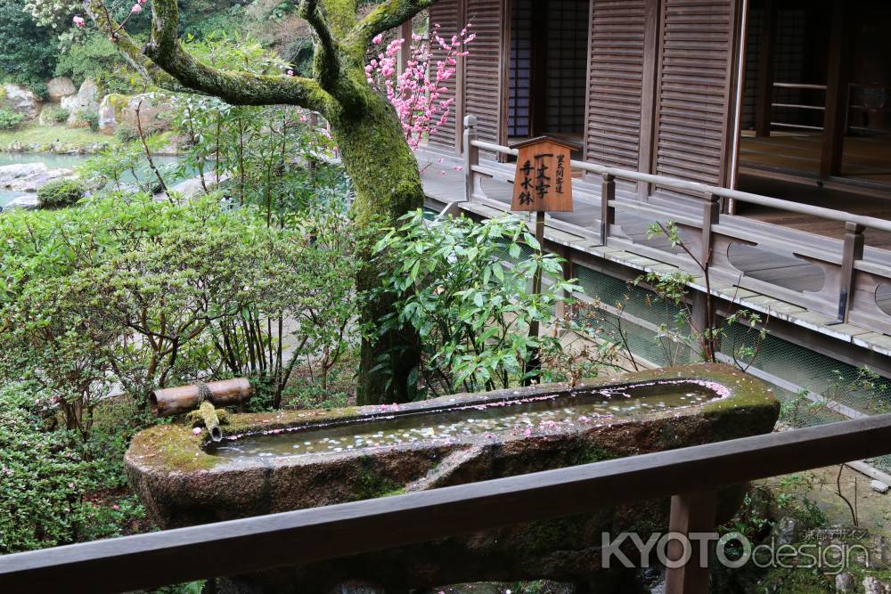 青蓮院 一文字型手水鉢2