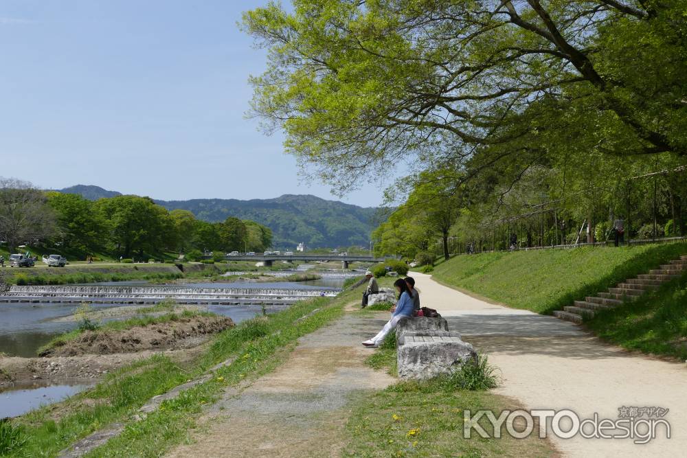 賀茂川と半木の道