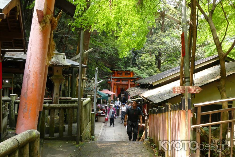 伏見稲荷お山巡り11