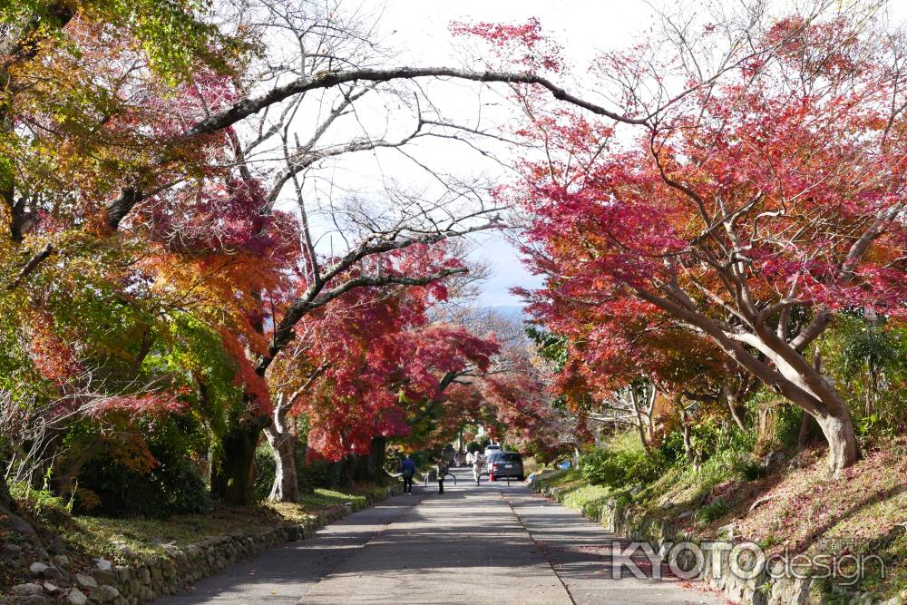 鷺森神社2