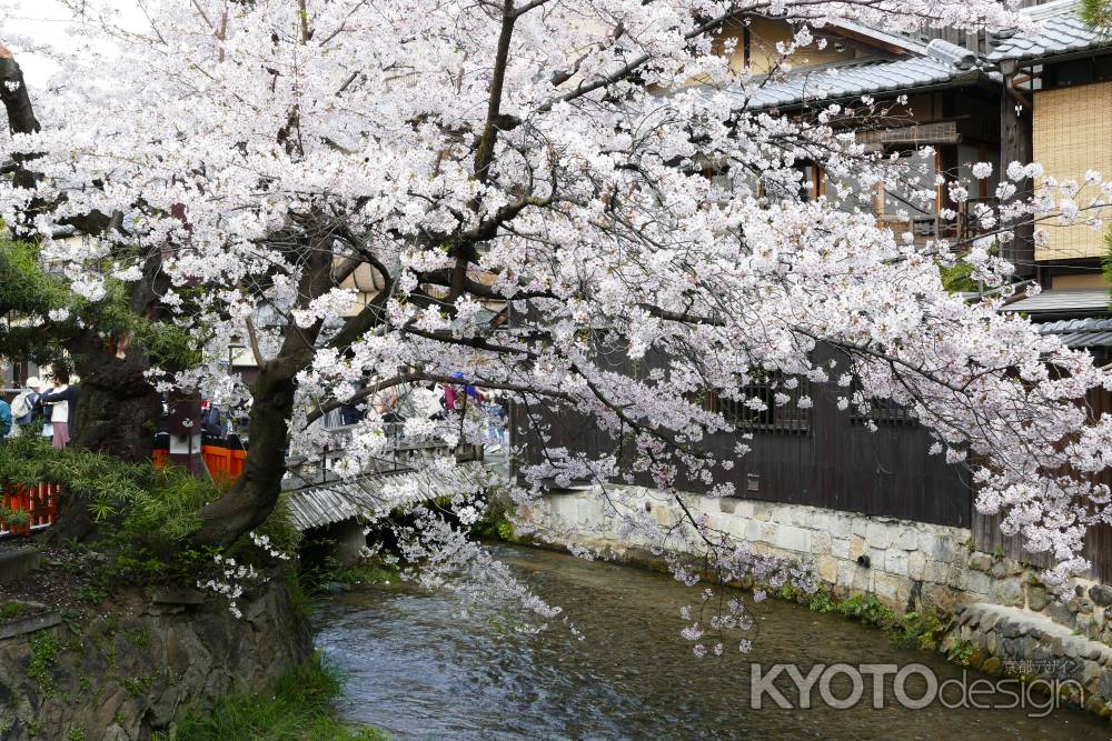 祇園白川
