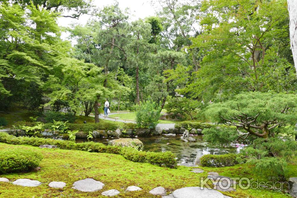 旧三井家下鴨別邸　新緑の庭