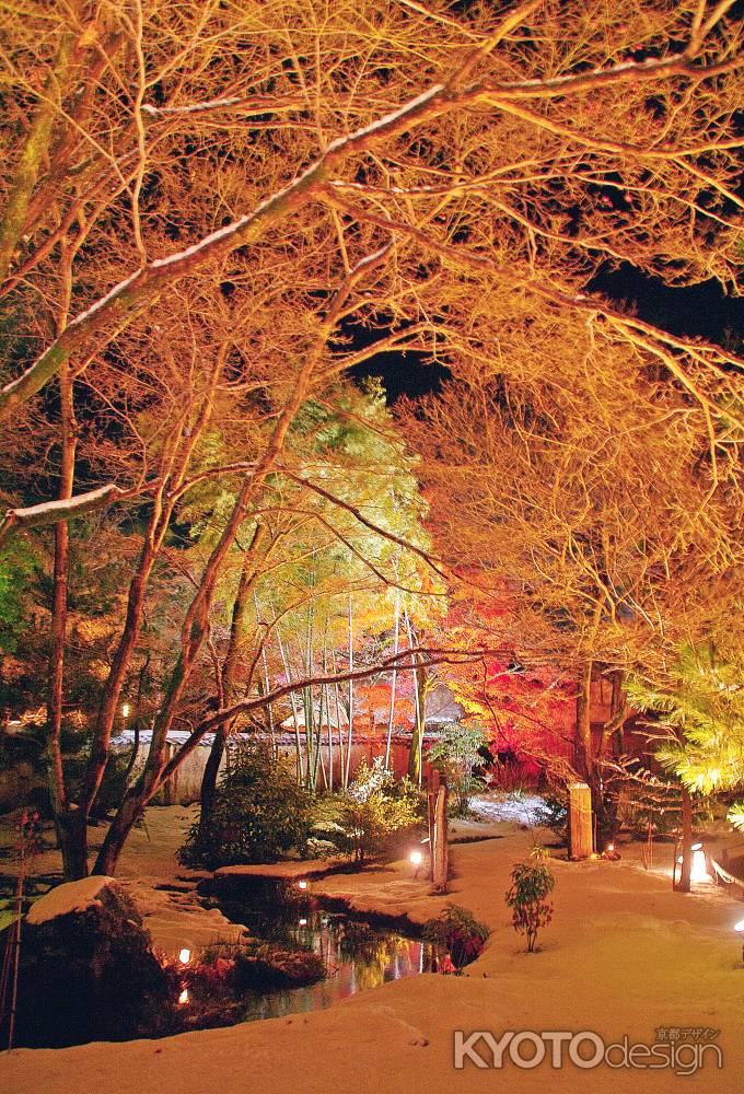 金色に照らされた雪の庭