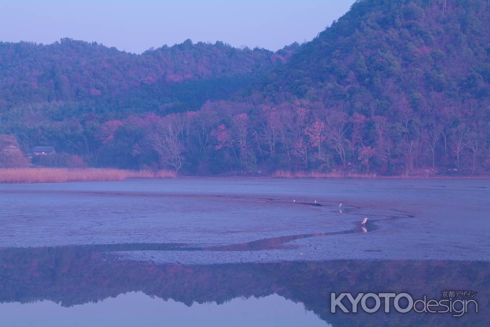 水鏡の上に描く