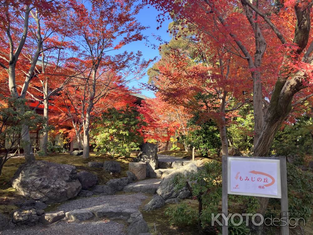 城南宮の美しい紅葉