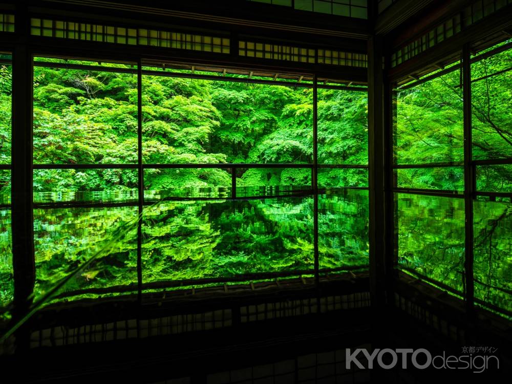 瑠璃光院　青紅葉