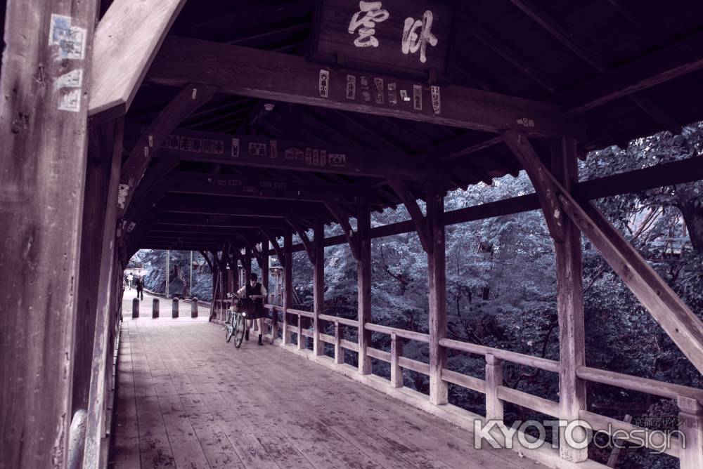 東福寺　臥雲橋