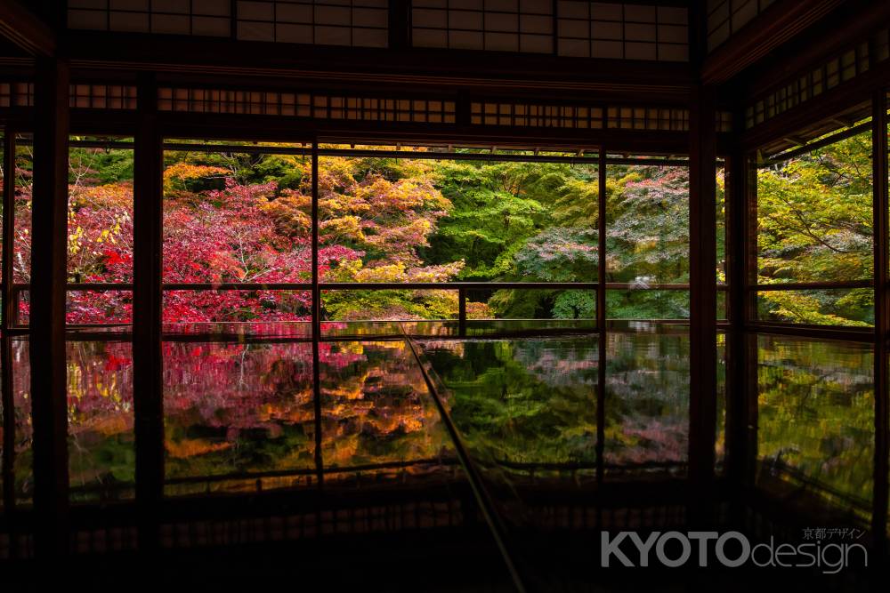 吸い込まれるような紅葉