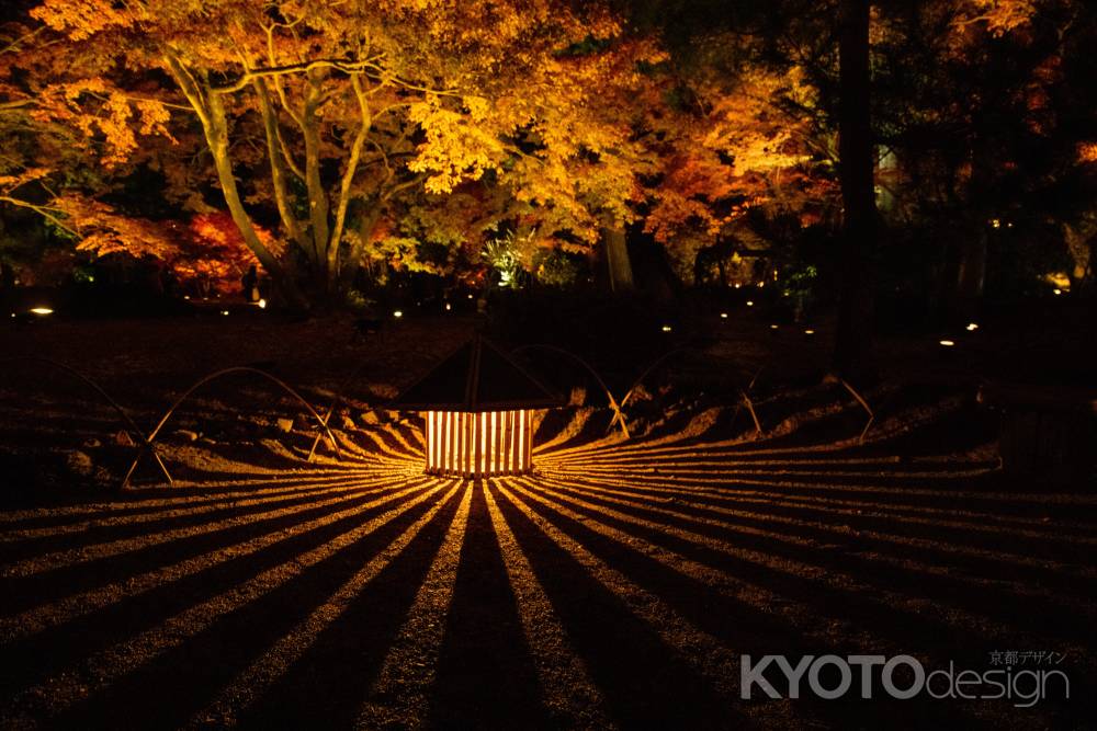 宝厳院　ライトアップ　1