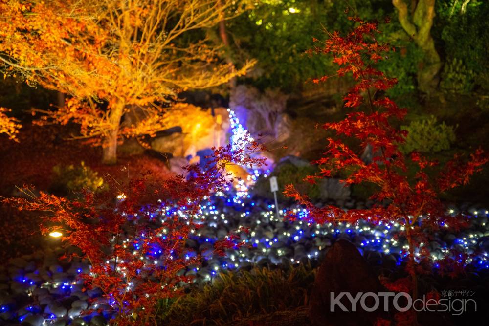 宝厳院　ライトアップ　2