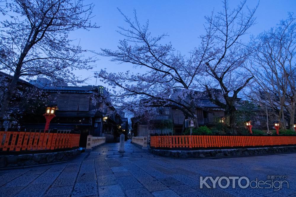 祇園白川　桜艶やかに