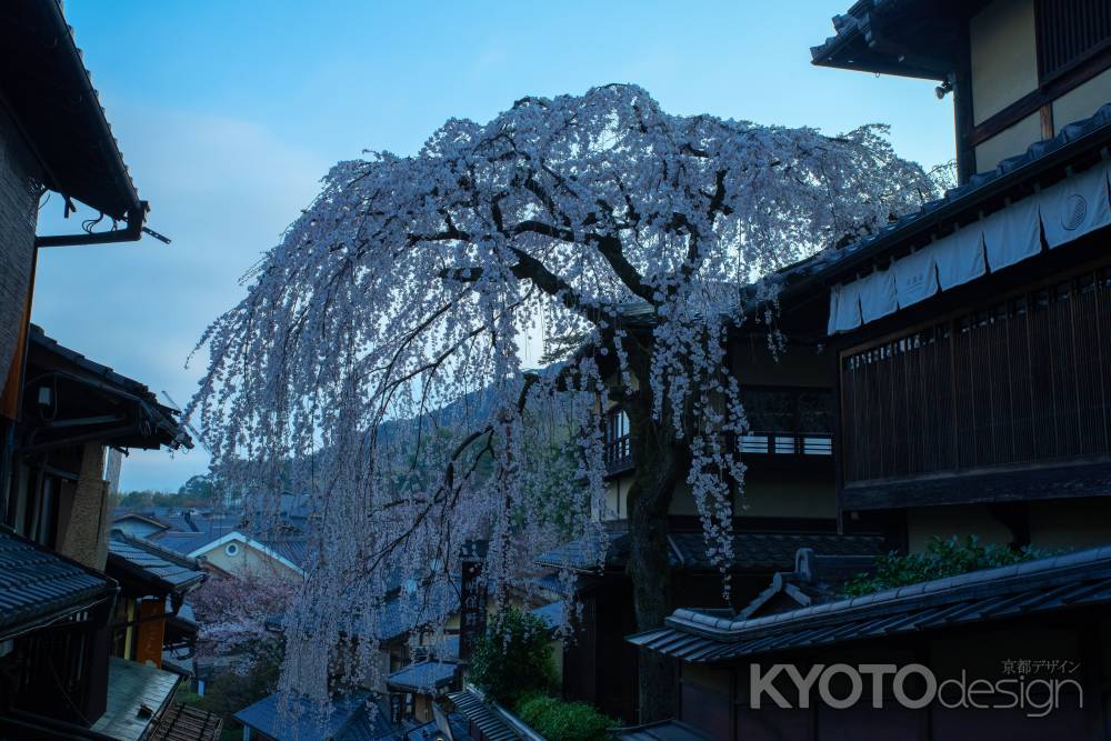 朝の産寧坂にて