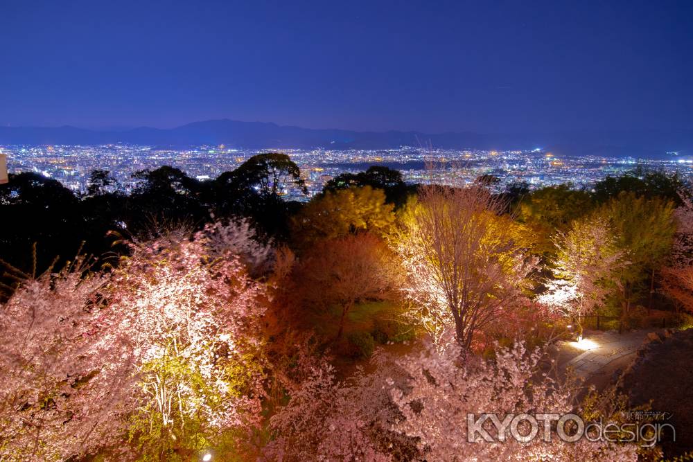 将軍塚　ライトアップ　3