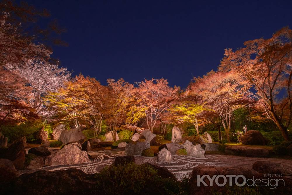 将軍塚　ライトアップ　5