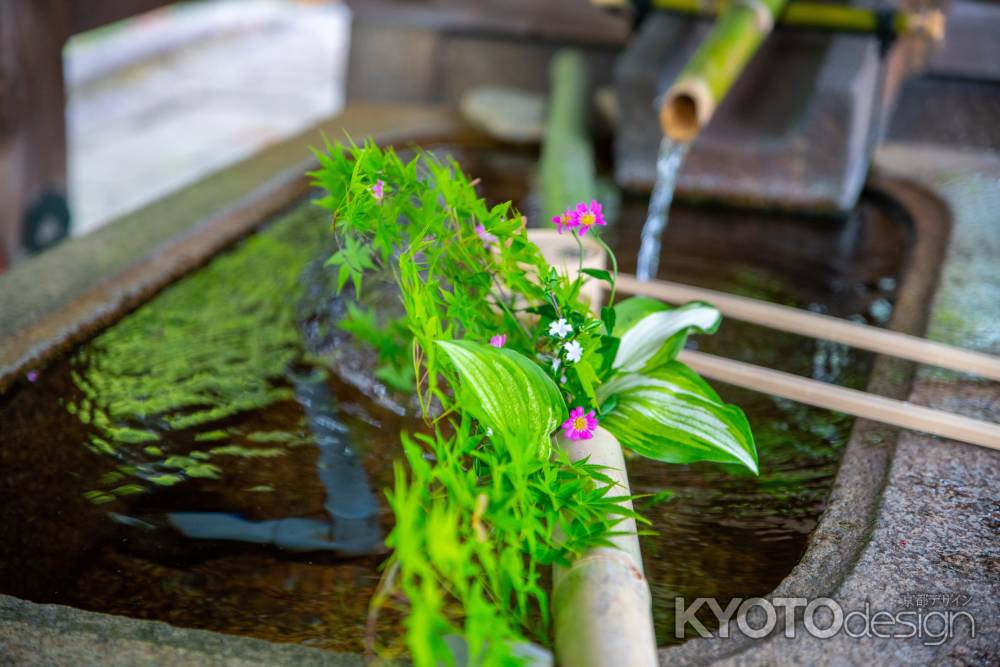 青もみじの手水舎