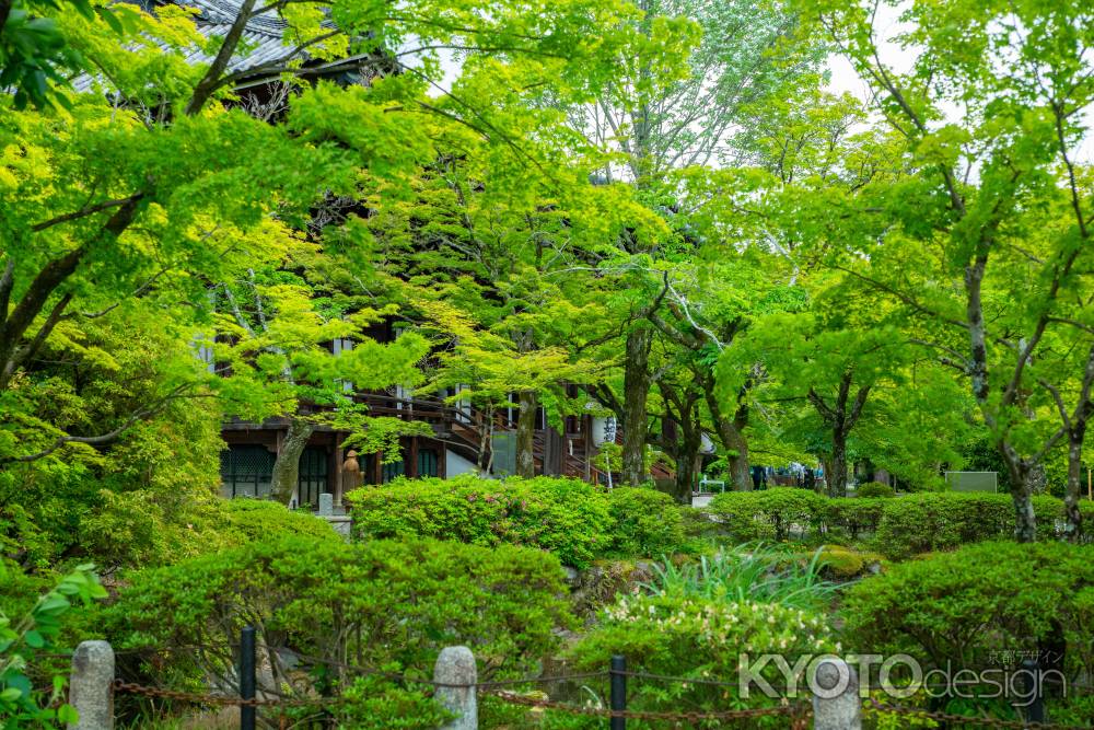 新緑の寺