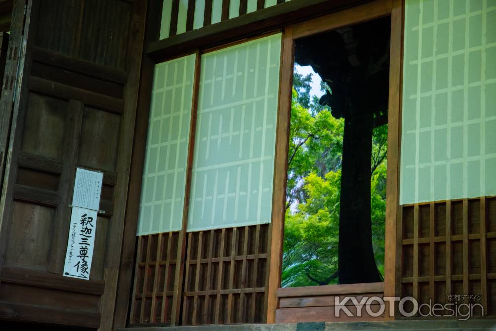 青もみじ写る窓