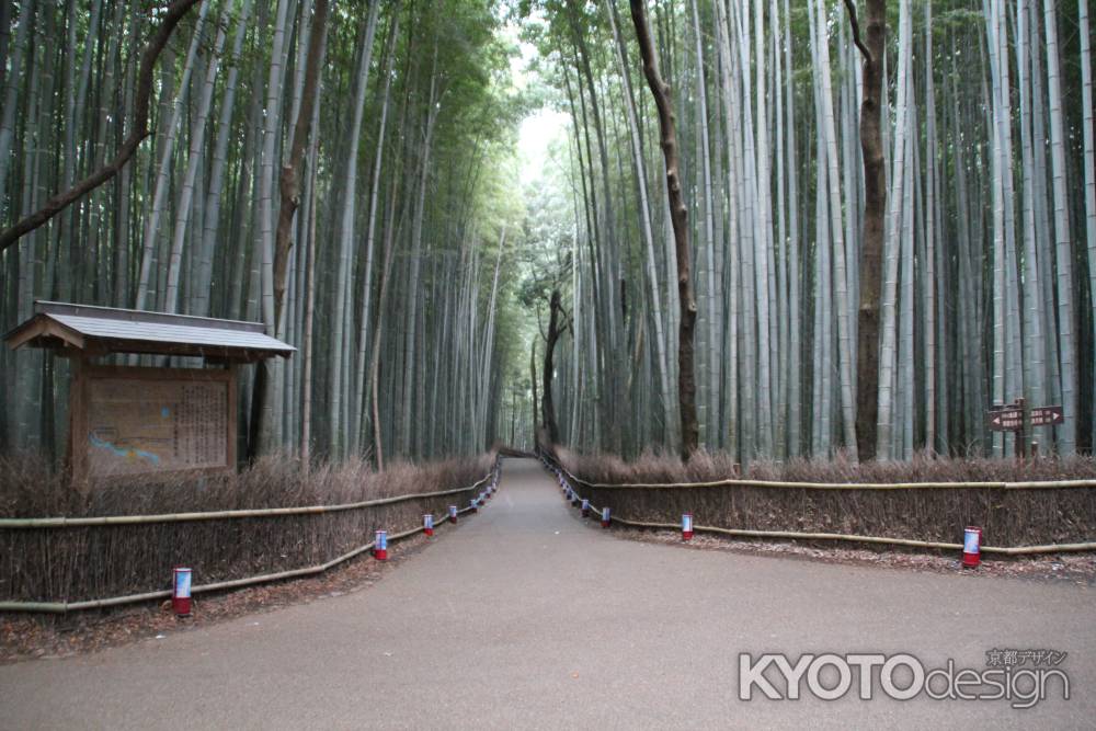 嵐山花灯路の朝
